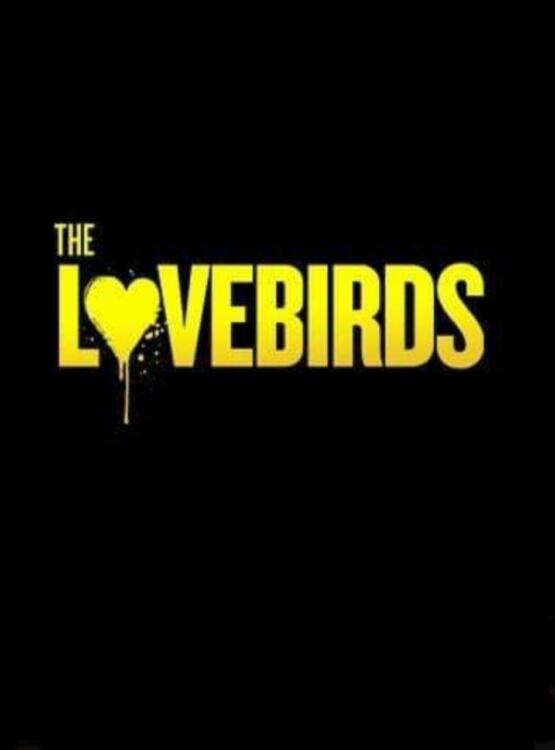 دانلود فیلم The Lovebirds 2020